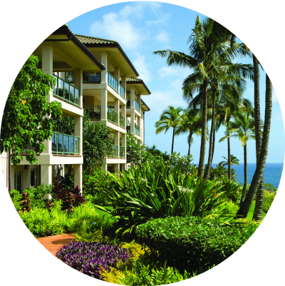 Beachside tropical resort with palm trees